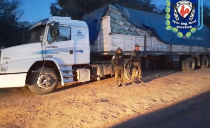 Secuestraron 27 toneladas de carbón vegetal transportadas sin documentación
