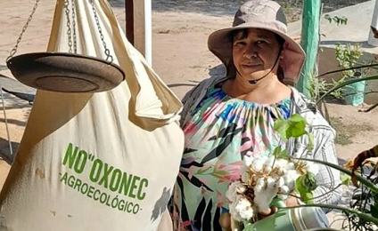 Chaco y confección: No’oxonec, única experiencia argentina de algodón agroecológico industrializado