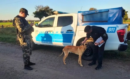 Allanaron un campo en Basail y rescataron a cuatro perros por un caso de maltrato
