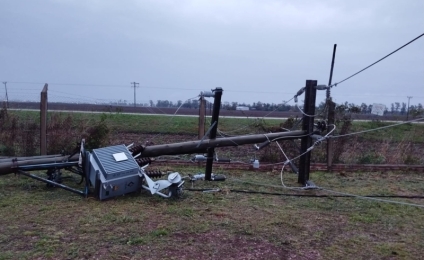 Intenso operativo de SEHEEP para reestablecer el servicio eléctrico luego del temporal