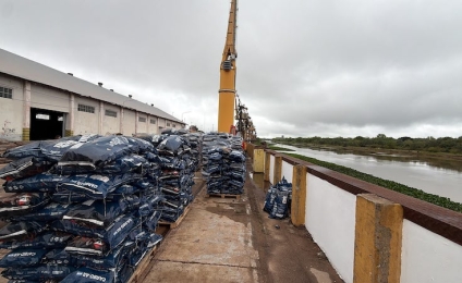 Exportaciones del Chaco: crecen 32,7% interanual, pero pierden dinamismo
